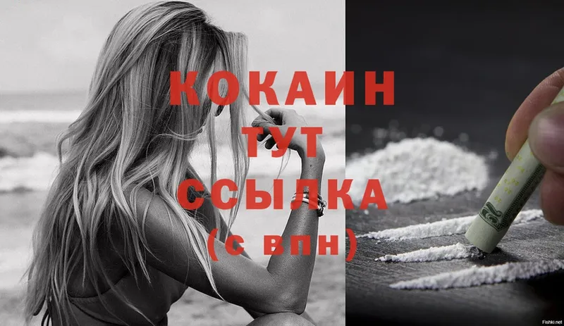 закладки  Бабаево  COCAIN FishScale 